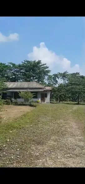 JUAL CEPAT TANAH LUAS DAN BANGUNAN DI CIKAHURIPAN