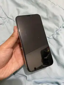 IP XS 256GB Wifi Only