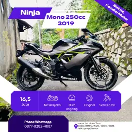 Kawasaki ninja mono 250cc SISE
