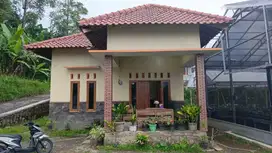 Rumah dan Pekarangan dijual di kaki/lereng barat gunung Lawu