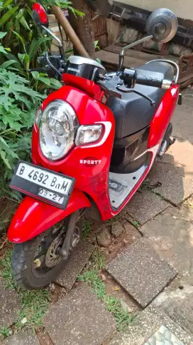 Honda Scoopy Sporty 2017