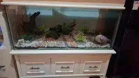 Aquarium ikan hiasan rumah