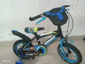 Sepeda anak roda 2