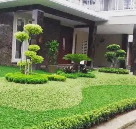 Jasa pembuatan taman minimalis