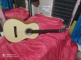 Gitar akustik pemula senar ceper