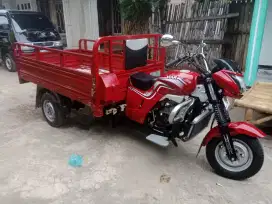Viar 200 L 2024