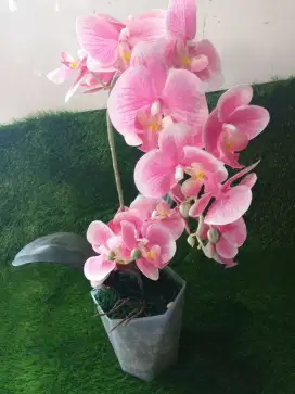 Anggrek latex artificial premium