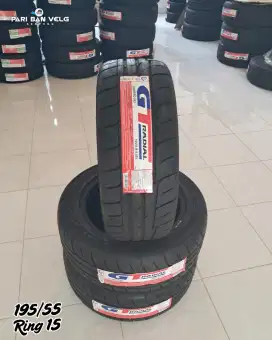 GT Radial Champiro SX2 195/55 Ring 15