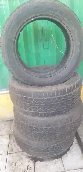 Ban ring 20 falken