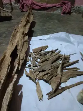 Kayu gaharu super