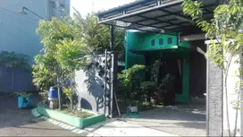 Rumah Hook dg konsep hijau asri disewakan per_tahun
