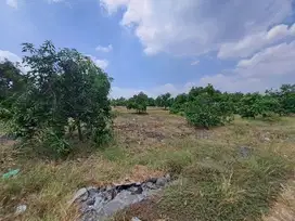 TANAH BANJARKEJEN PASURUAN 95809 ASSET BANK, CASH ONLY