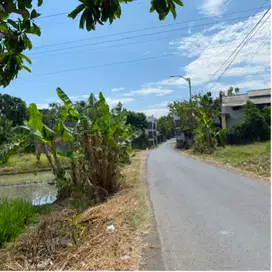 jual tanah tembokrejo selatan ikip pasuruan