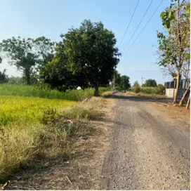 jual tanah kebun tebu pasuruan luas 4,5H pengairan lancar
