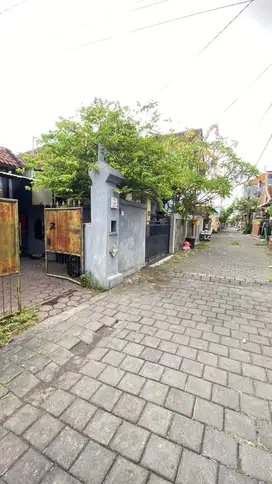 Jual kos renon panjer denpasar