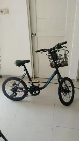 Sepeda minion sepeda gaul