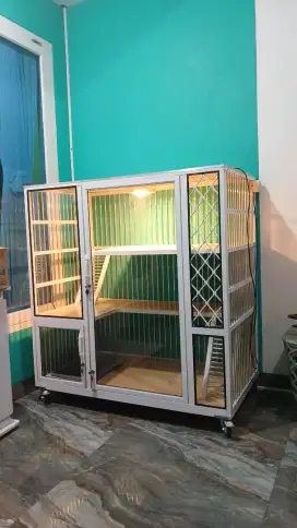Kandang kucing Lampung