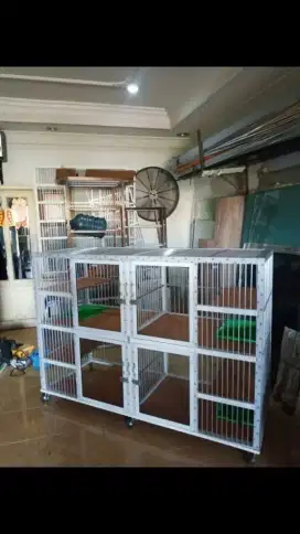 Kandang kucing Lampung