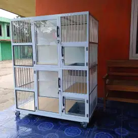 Kandang Kucing Lampung