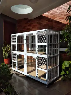 Kandang kucing Lampung