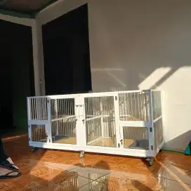 Kandang kucing Lampung