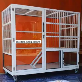 kandang kucing lampung