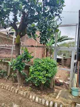 Kavling Murah Langsung Pemilik