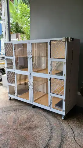 Kandang kucing Lampung