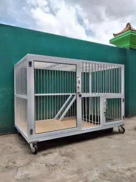 Kandang Kucing Lampung