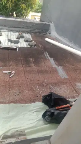Renovasi rumah dan WC mampet
