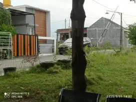 Kavling murah siap bangun di Gempol Pasuruan