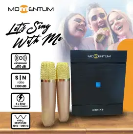 Dsp processor 12ch momentum k2 with mic wireless