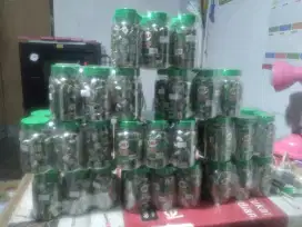 Permin kesehatan dari milo
