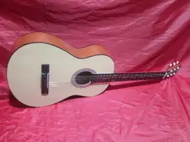 Gitar akustik pemula