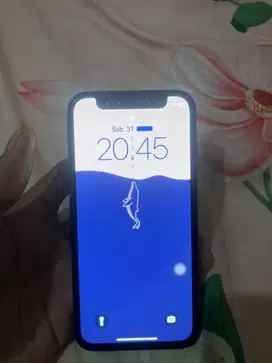 fs iphone 12 mini wifi only