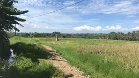 Dijual tanah kecil view sawah gunung dan laut di tabanan bali
