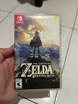 Zelda Breath of The Wild BOTW