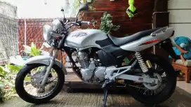 Tiger menolak tua