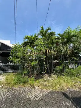 Dijual Murah Rumah Manyar Tirtomoyo Row Jalan 3 Mobil