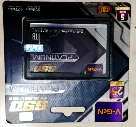 Jual SSD Sata Platinum Vgen 1 TB Original!