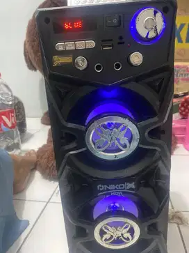 Speaker niko slank