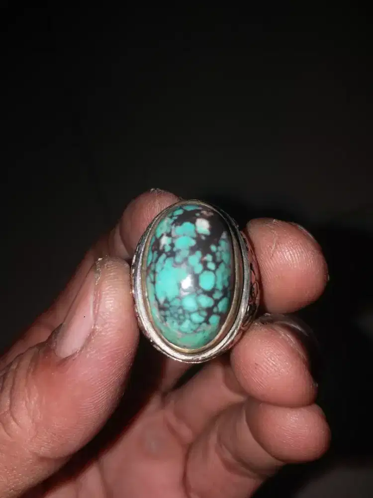 Pirus mesir urat emas