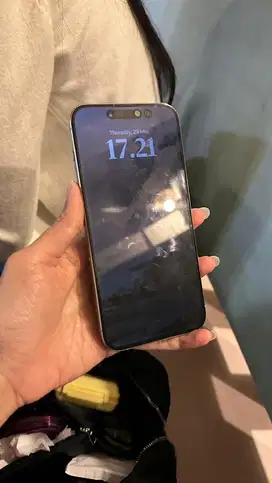 iPhone 15 Pro Max 256 Gb ex iBox