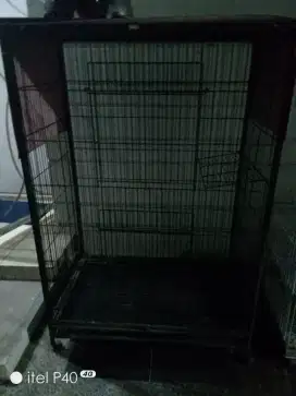Saya mau jual kandang kucing premium