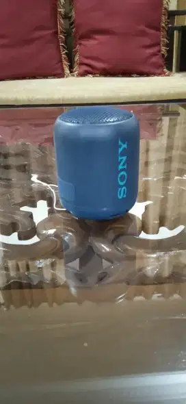 Speaker aktif, Sony Wireless Speaker SRS-XB12. Original, suara mantap