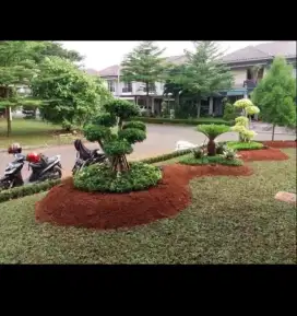 Tukang taman minimalis Indoor/Outdoor