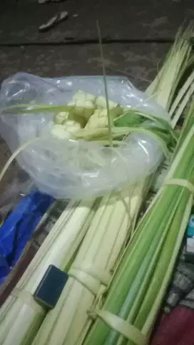 Kulit ketupat dan janur
