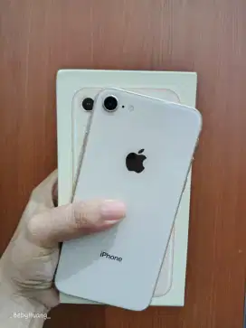 iPhone 8 (256GB inter)