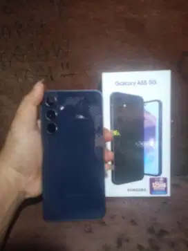 Samsung A55 8/256