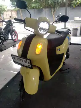 Di jual Fazio hibird 2024